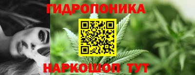 прущий лед Канаш