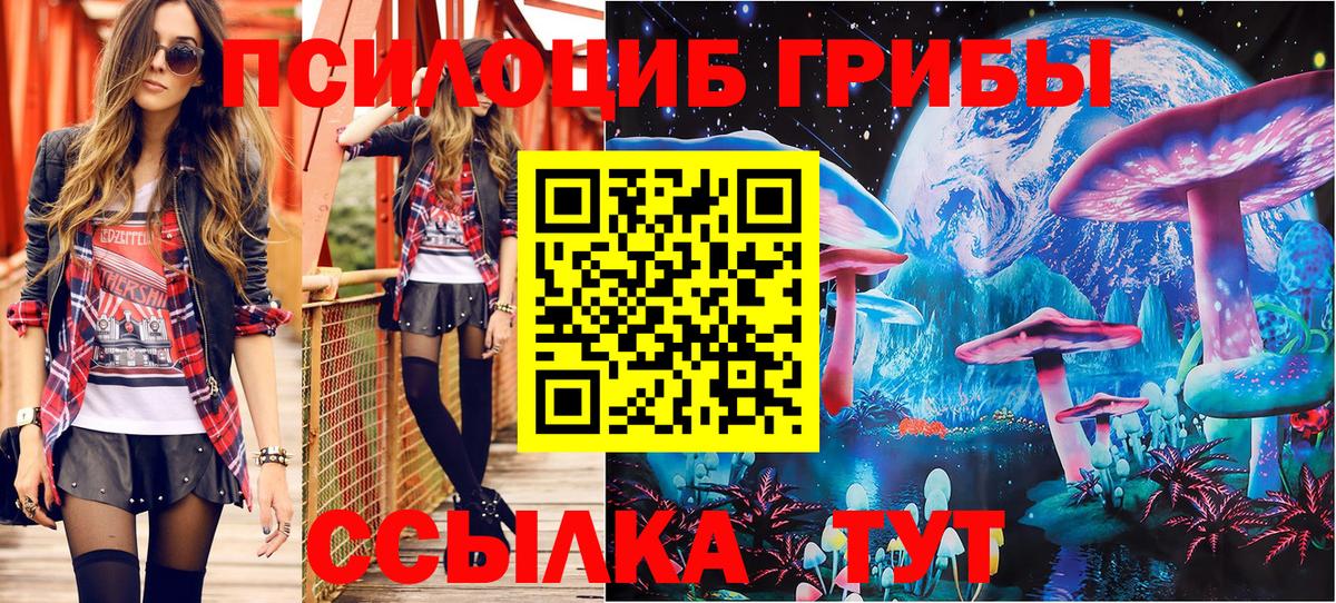 Галлюциногенные грибы Psilocybine cubensis Грозный