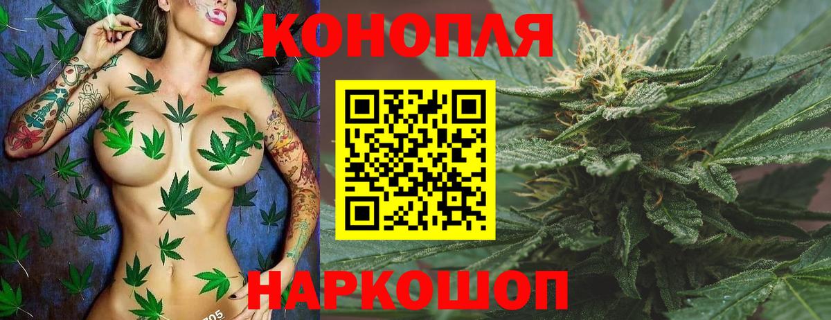 Каннабис марихуана Грозный